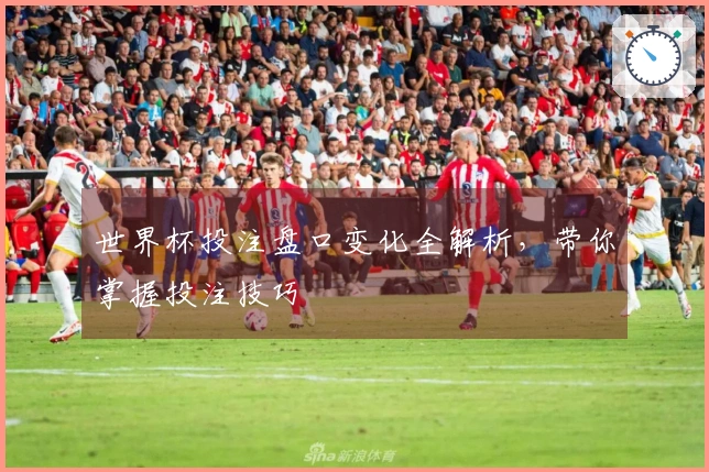 世界杯投注盘口变化全解析，带你掌握投注技巧