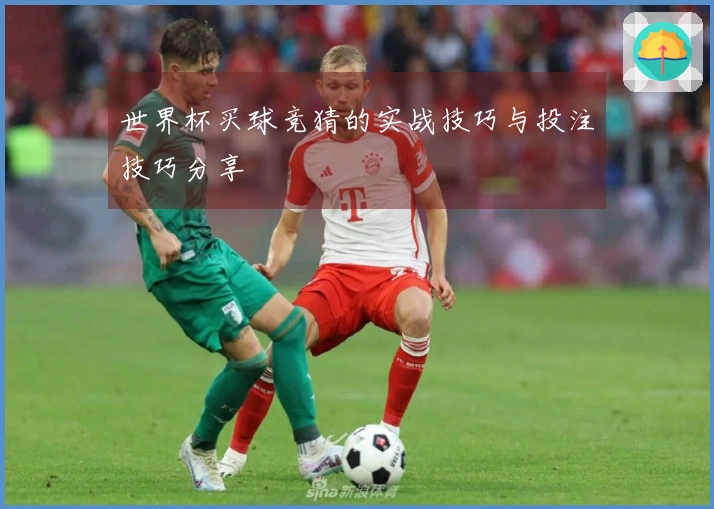 世界杯买球竞猜的实战技巧与投注技巧分享