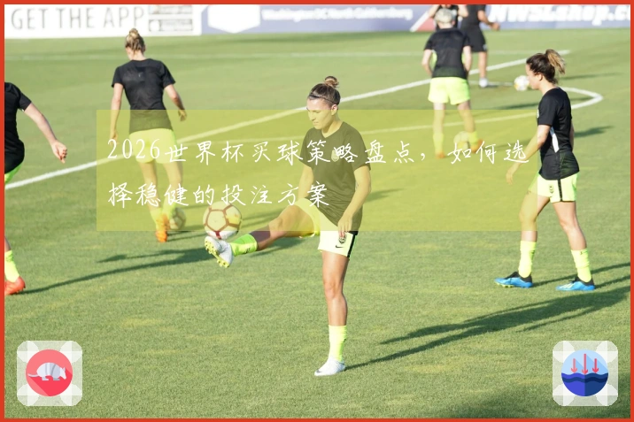 2026世界杯买球策略盘点，如何选择稳健的投注方案