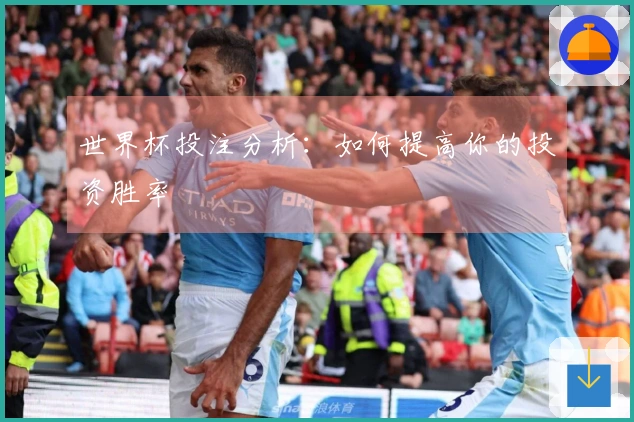 世界杯投注分析：如何提高你的投资胜率