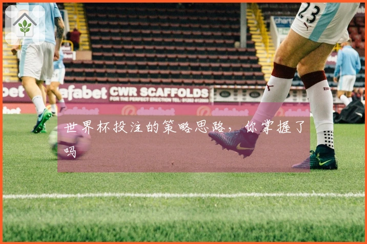 世界杯投注的策略思路，你掌握了吗
