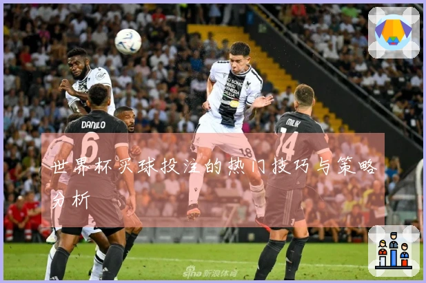 世界杯买球投注的热门技巧与策略分析