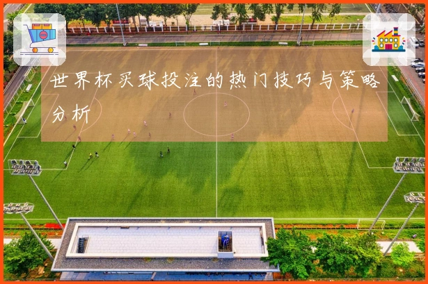 世界杯买球投注的热门技巧与策略分析