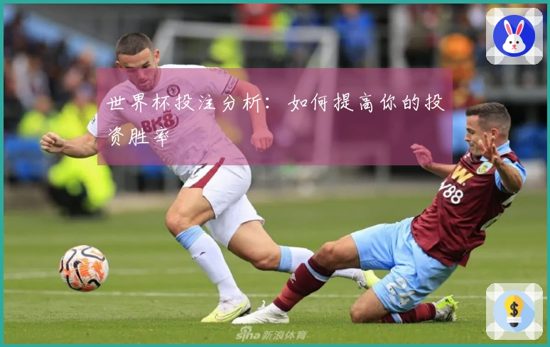 世界杯投注分析：如何提高你的投资胜率