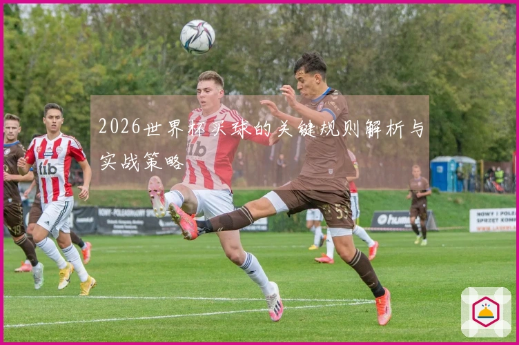 2026世界杯买球的关键规则解析与实战策略