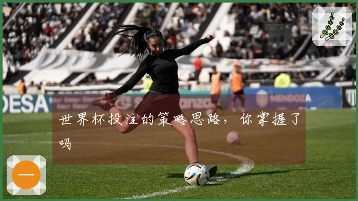 世界杯投注的策略思路，你掌握了吗