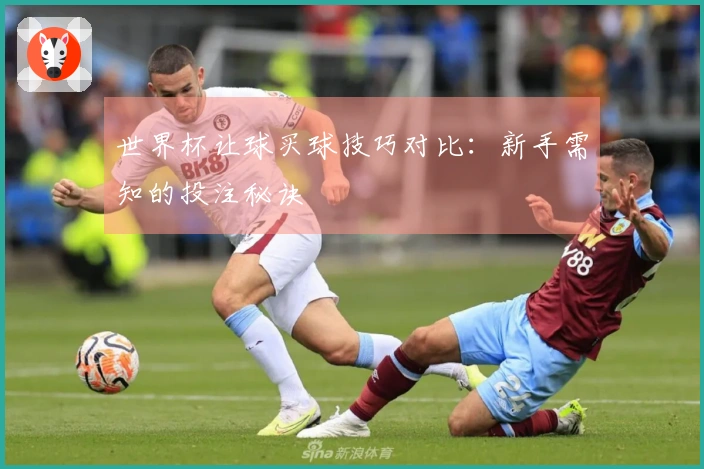 世界杯让球买球技巧对比：新手需知的投注秘诀